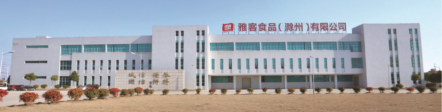 雅客集團(tuán)滁州公司總部.png