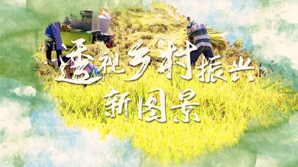 鄉(xiāng)村振興繪就新圖景